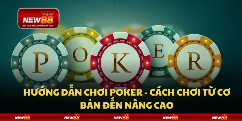 Hướng dẫn chơi Poker - Cách chơi từ cơ bản đến nâng cao