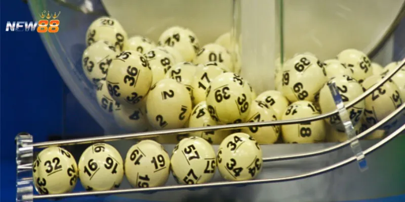 Các dạng bạc nhớ đầu câm hay gặp nhất