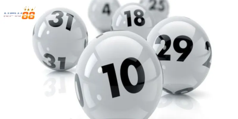 Bao lô xỉu chủ New88 - chiến thuật bắt lô hiệu quả nhất 2 Những thông tin quan trọng về bao lô xỉu chủ