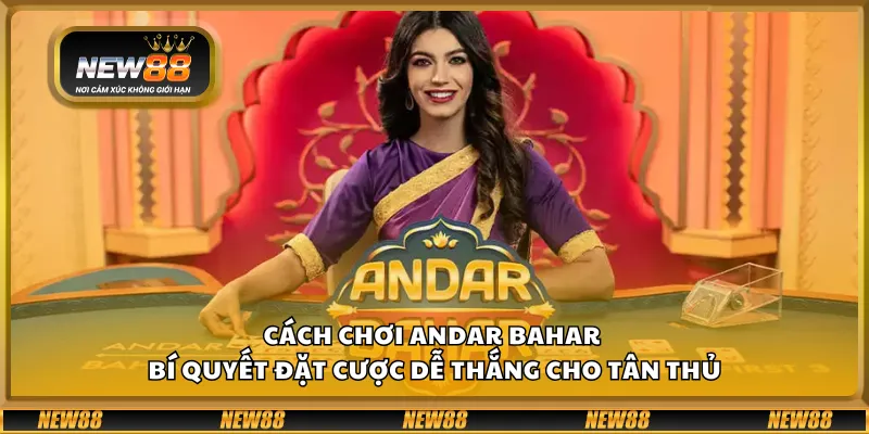 Cách chơi Andar Bahar - Bí quyết đặt cược dễ thắng cho tân thủ
