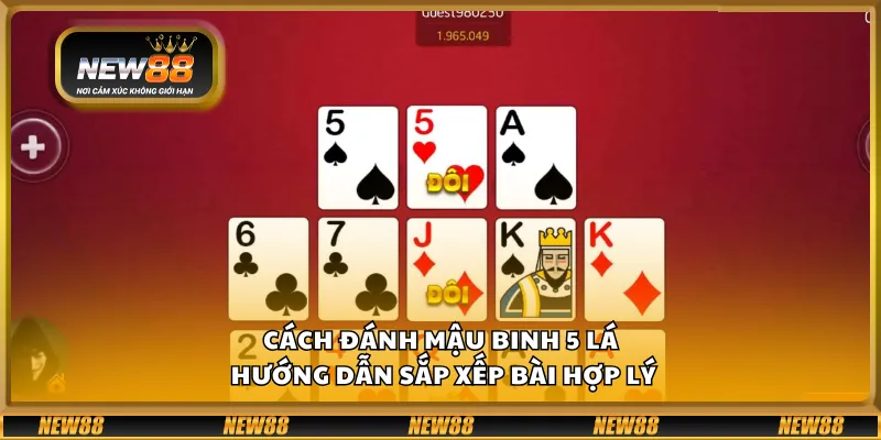 Cách đánh Mậu Binh 5 lá – Hướng dẫn sắp xếp bài hợp lý