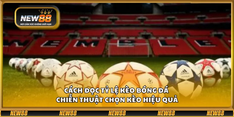 Cách đọc tỷ lệ kèo bóng đá - Chiến thuật chọn kèo hiệu quả
