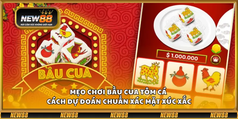 Mẹo chơi bầu cua tôm cá – cách dự đoán chuẩn xác mặt xúc xắc