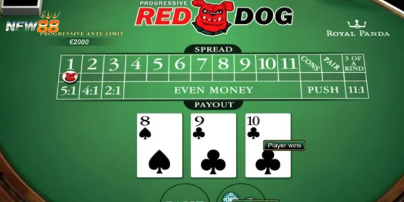 Cách chơi Red Dog Poker từ A đến Z