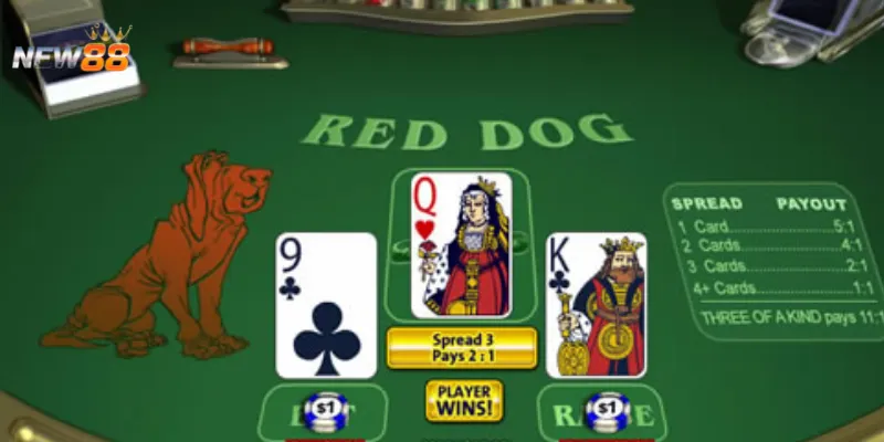 Mẹo cược Red Dog Poker để chiếm ưu thế là gì?