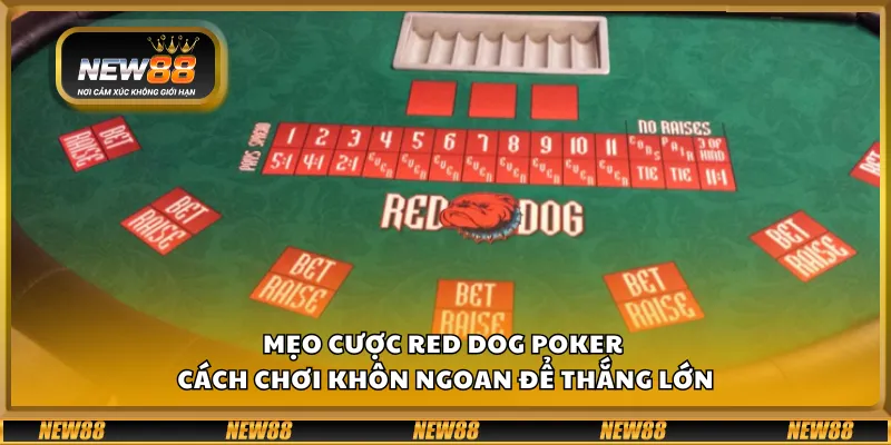 Mẹo cược Red Dog Poker – Cách chơi khôn ngoan để thắng lớn