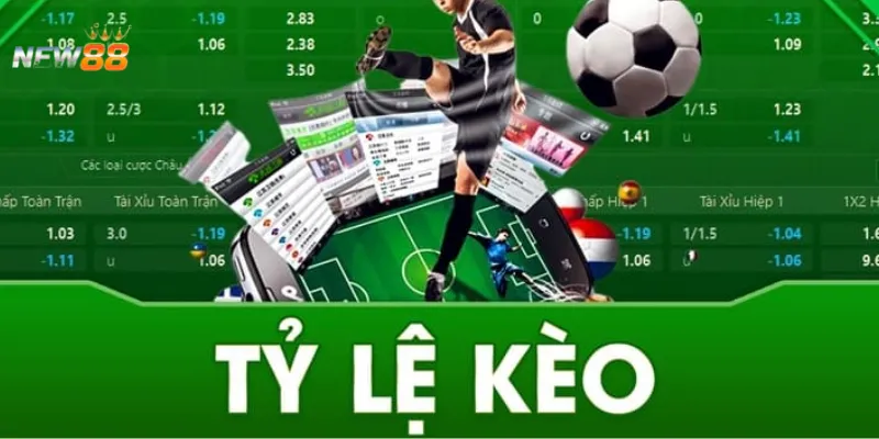 Cách đọc tỷ lệ kèo bóng đá chính xác là thế nào?