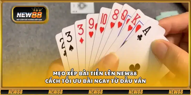 Mẹo xếp bài Tiến Lên New88 – Cách tối ưu bài ngay từ đầu ván