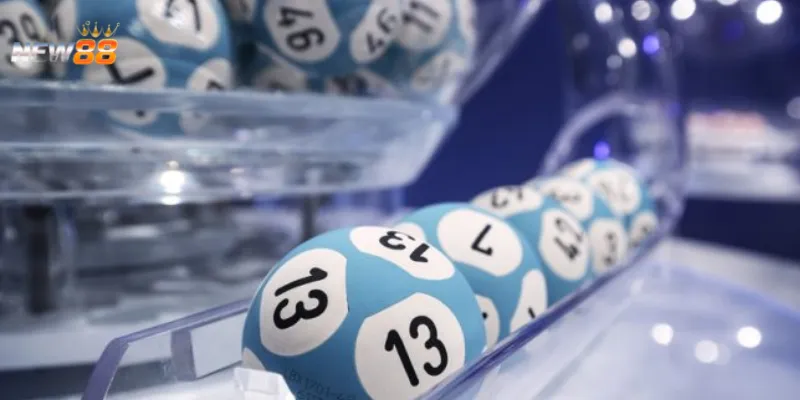 Quy trình soi cầu quả trám chuẩn xác